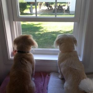 Meet your Posher, Mandy